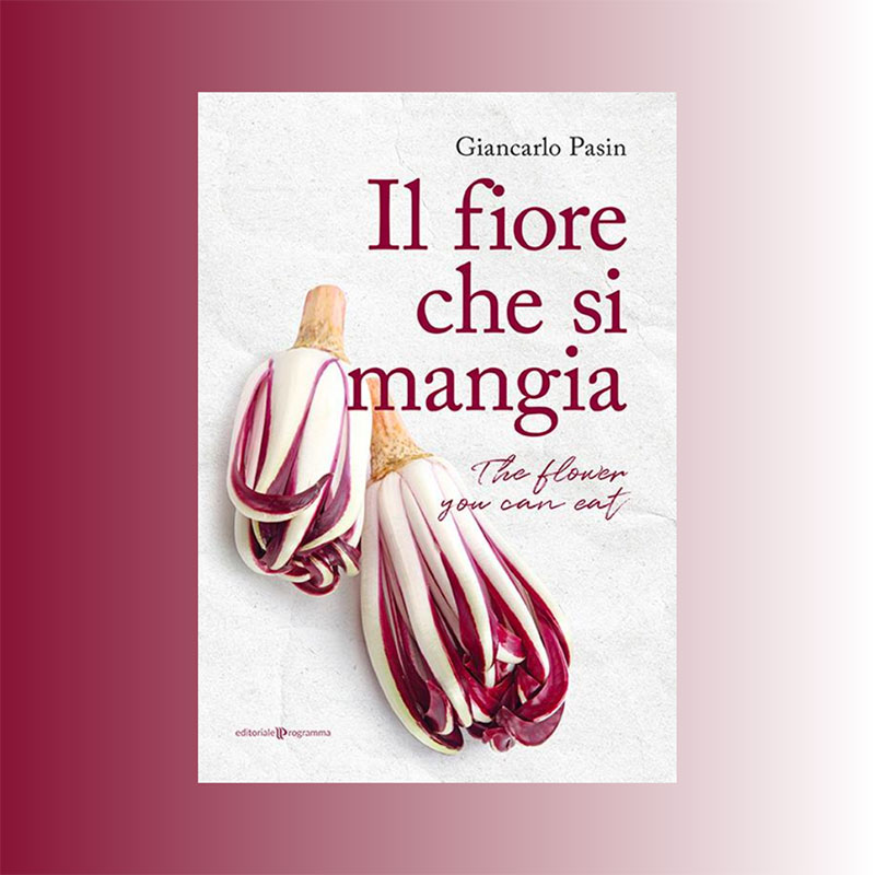 pasina-il-fiore-che-si-mangia