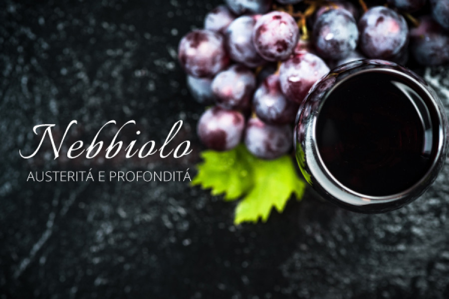 Nebbiolo: austerità e profondità