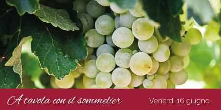 A tavola con il sommelier: Piemonte, non solo rossi