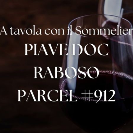 Piave DOC Raboso Parcel #912