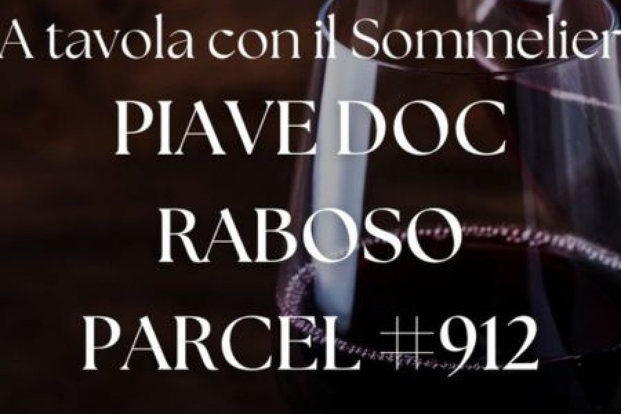 Piave DOC Raboso Parcel #912